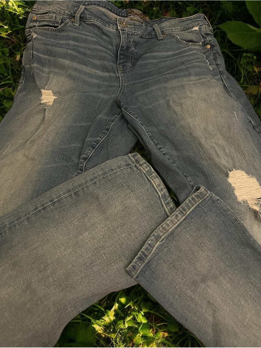 torrid women’s Straight Distressed Denim in Faded Blue